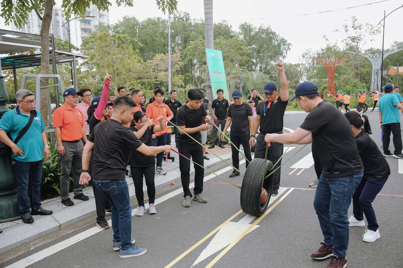 cá cược thể thao hul city